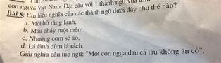 Đặt Câu Với Thành Ngữ Non Sông Gấm Vóc