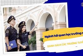 Hải Quan Học Khối Nào