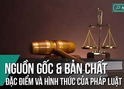 Học Thuyết Pháp Lý Là Nguồn Pháp Luật Việt Nam