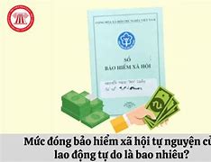 Mức Đóng Bảo Hiểm Xã Hội Của Người Lao Động Và Người Sử Dụng Lao Động