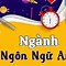 Nhóm Ngành Nghề Tiếng Anh Là Gì