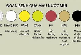 Nước Ối Mèo Màu Gì