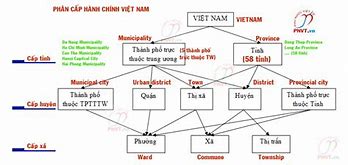 Trực Thuộc Trung Ương Tiếng Anh Là Gì